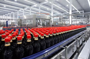 酱油界的茅台 单品营收超百亿,市值5年上涨两千多亿